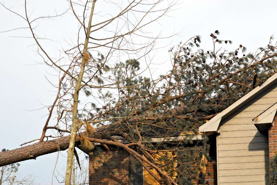 A tree tilts over a house, indicating possible roof damage in South Florida
